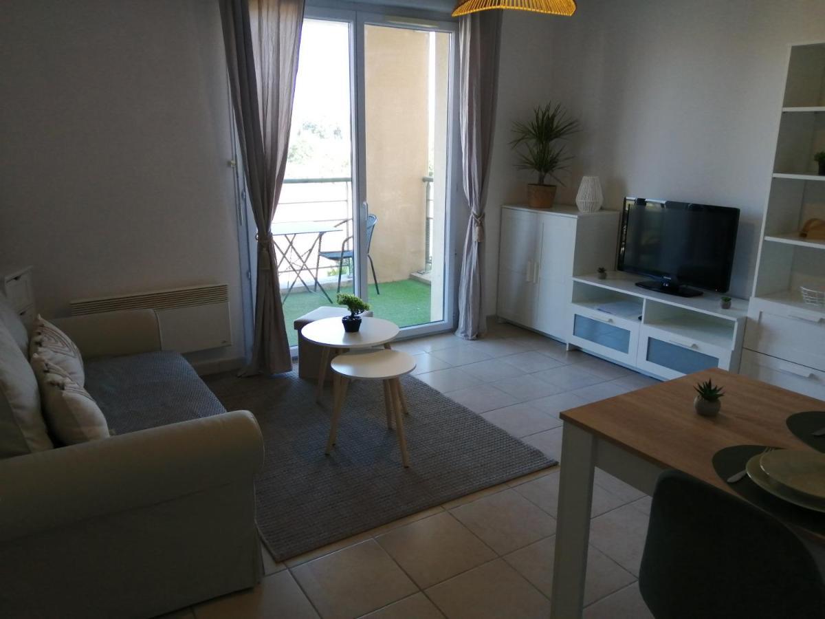 Apartmán Le Cocon De Marie,Piscine, Balcon, Parking Gratuit, Baignoire Carcassonne Exteriér fotografie