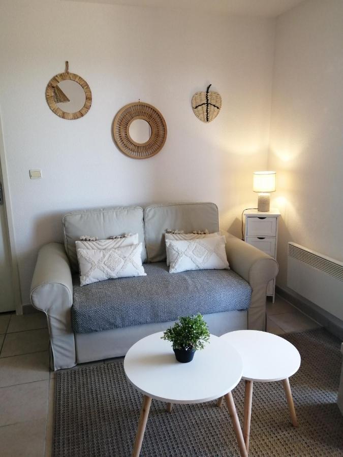 Apartmán Le Cocon De Marie,Piscine, Balcon, Parking Gratuit, Baignoire Carcassonne Exteriér fotografie