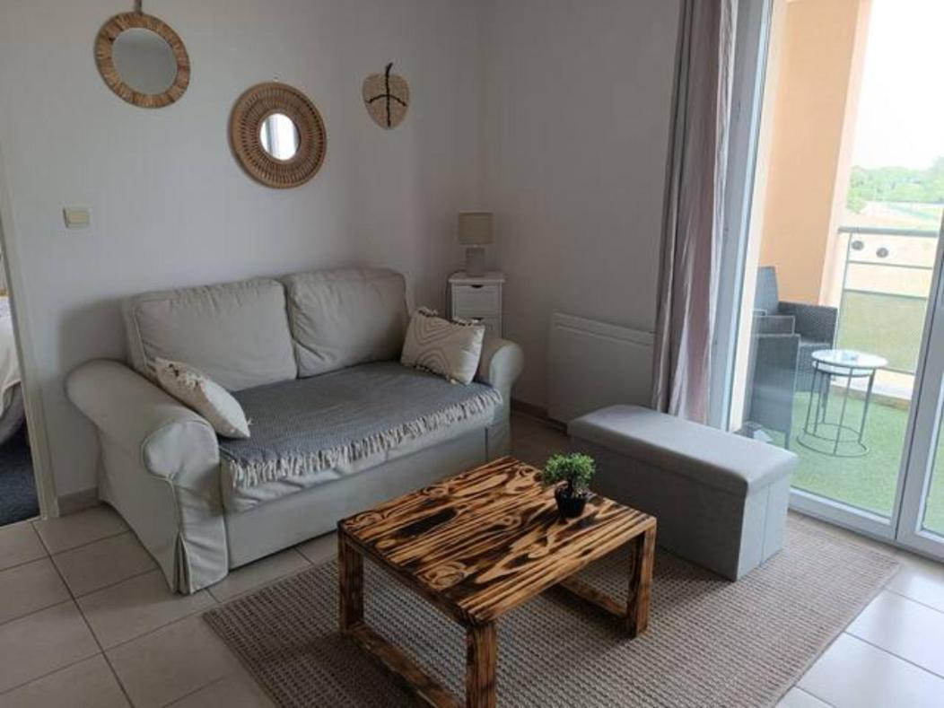 Apartmán Le Cocon De Marie,Piscine, Balcon, Parking Gratuit, Baignoire Carcassonne Exteriér fotografie